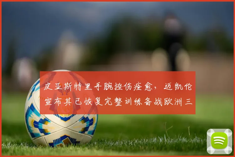 皮亚斯特里手腕挫伤痊愈，迈凯伦宣布其已恢复完整训练备战欧洲三连赛