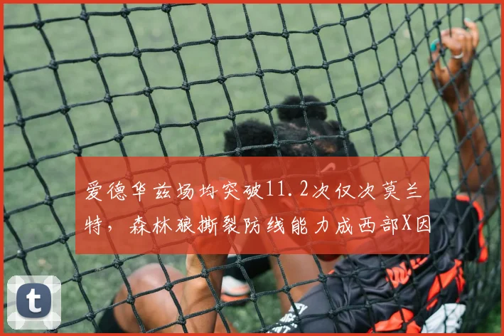 爱德华兹场均突破11.2次仅次莫兰特，森林狼撕裂防线能力成西部X因素